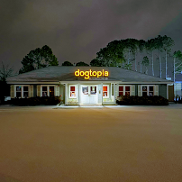 Dogtopia Hickory Plaza - Photo 8 - Car repair in Nashville, TN, Nashville