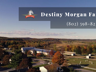 Destiny Morgan Farm