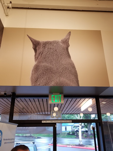 Pet Supply Store «The Filling Station Pet Supplies», reviews and photos, 10115 SW Nimbus Ave #100, Portland, OR 97223, USA