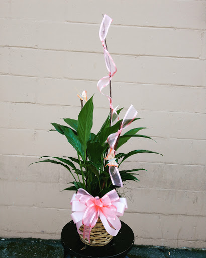 Florist «Village Flowers & Gifts», reviews and photos, 527 W Lodi Ave, Lodi, CA 95242, USA