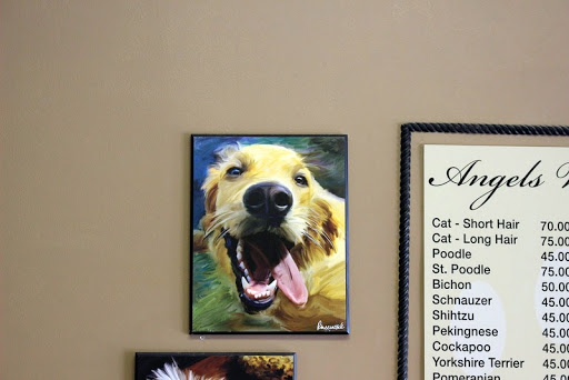 Angels With Paws LLC