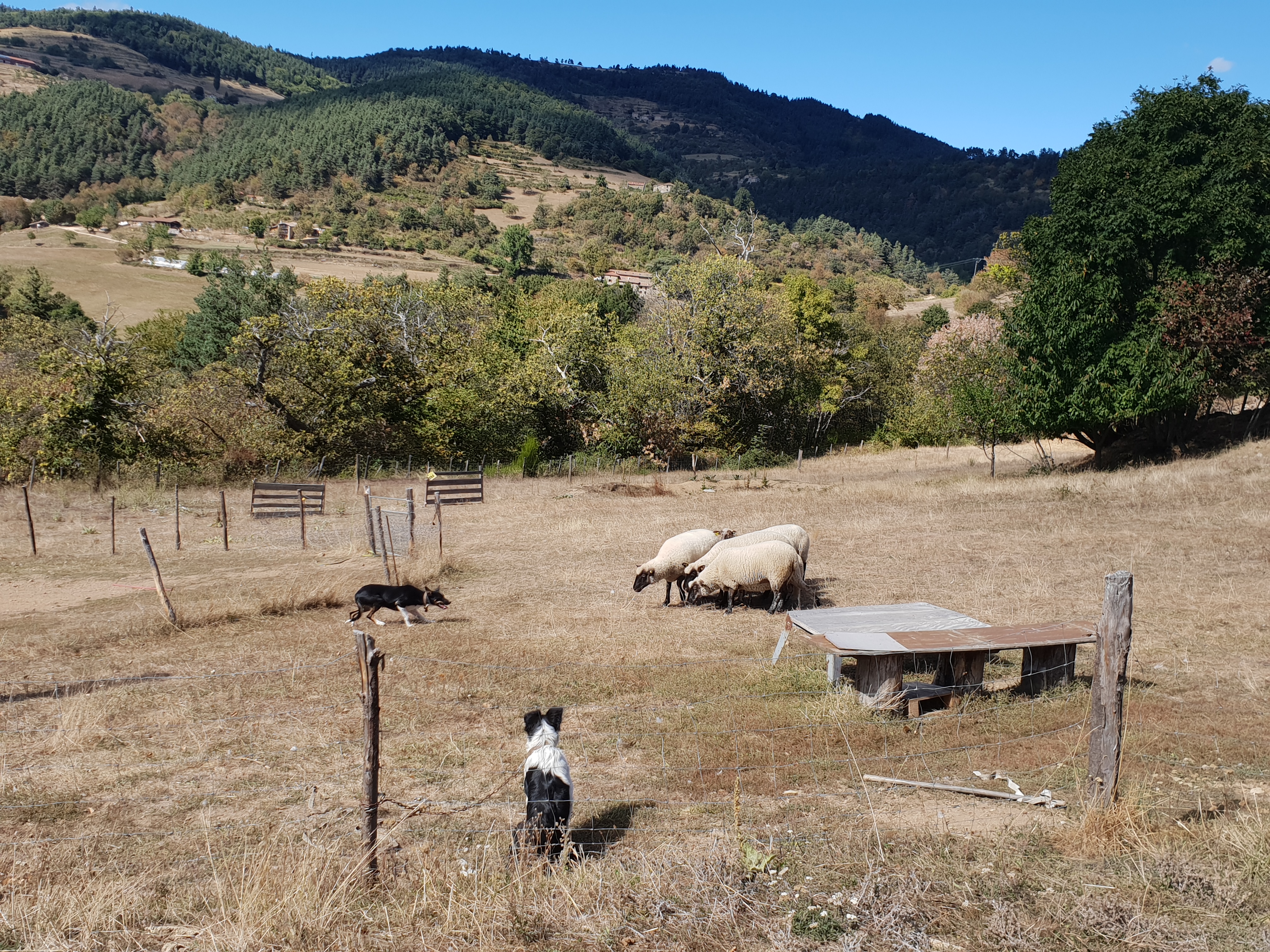 Photo n° 1 de l'avis de virginie.h fait le 26/09/2018 à 15:30
