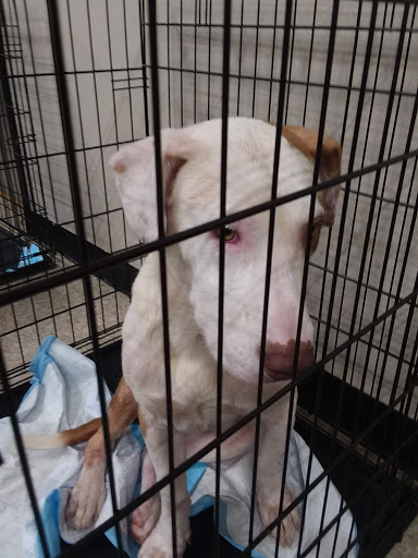 Pet Supply Store «PetSmart», reviews and photos, 5005 S 74th St, Greenfield, WI 53220, USA