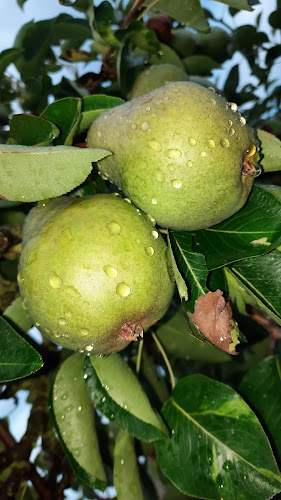 Épicerie Au Jardin De Villesauvage Étampes