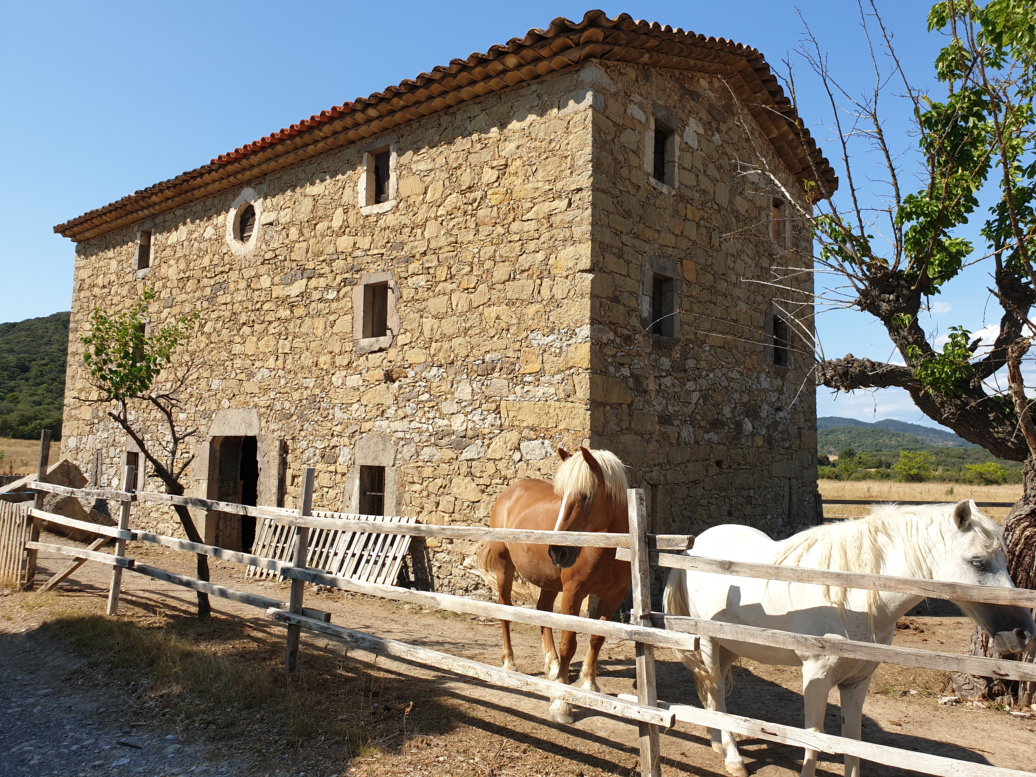 Photo n° 9 de l'avis de shotoma1. fait le 11/08/2019 à 20:03