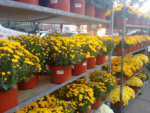 Produce Market «Hudson Farmers Market», reviews and photos, 3437 John F. Kennedy Blvd, Jersey City, NJ 07307, USA