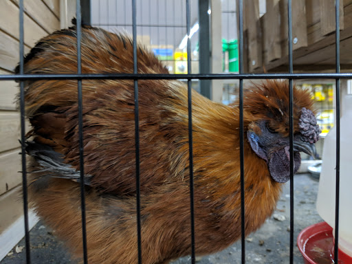 Department Store «Rural King», reviews and photos, 2960 E 10th St, Jeffersonville, IN 47130, USA