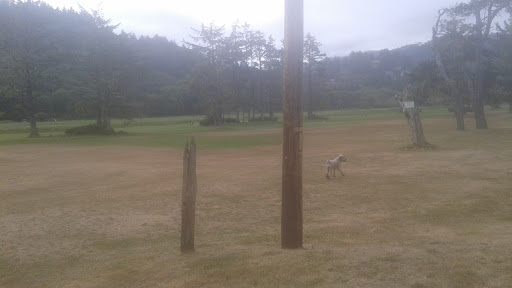 Golf Course «Neskowin Marsh Golf Course», reviews and photos, 48405 Hawk Dr, Neskowin, OR 97149, USA