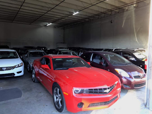 Used Car Dealer «Selective Motor Cars», reviews and photos, 7007 SW 9th St, Miami, FL 33144, USA