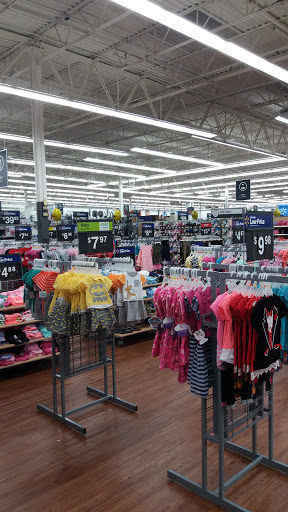 Tiendas de ropa de boxeo en Tampa