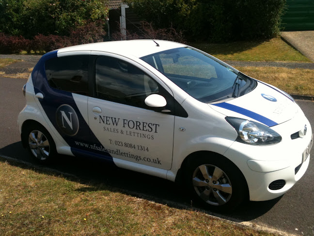 Reviews of New Forest Sales & Lettings Ltd in Southampton - Real estate agency