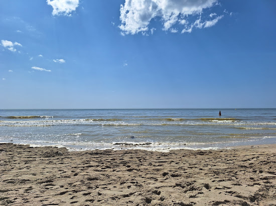 Plage Sud d'Equihen