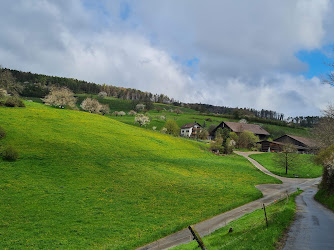 Schulhaus Schule Bözen-Elfingen