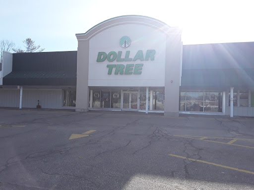 Dollar Store «Dollar Tree», reviews and photos, 435 Elm St #3, Biddeford, ME 04005, USA