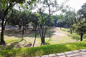 Parque Ary Barroso image