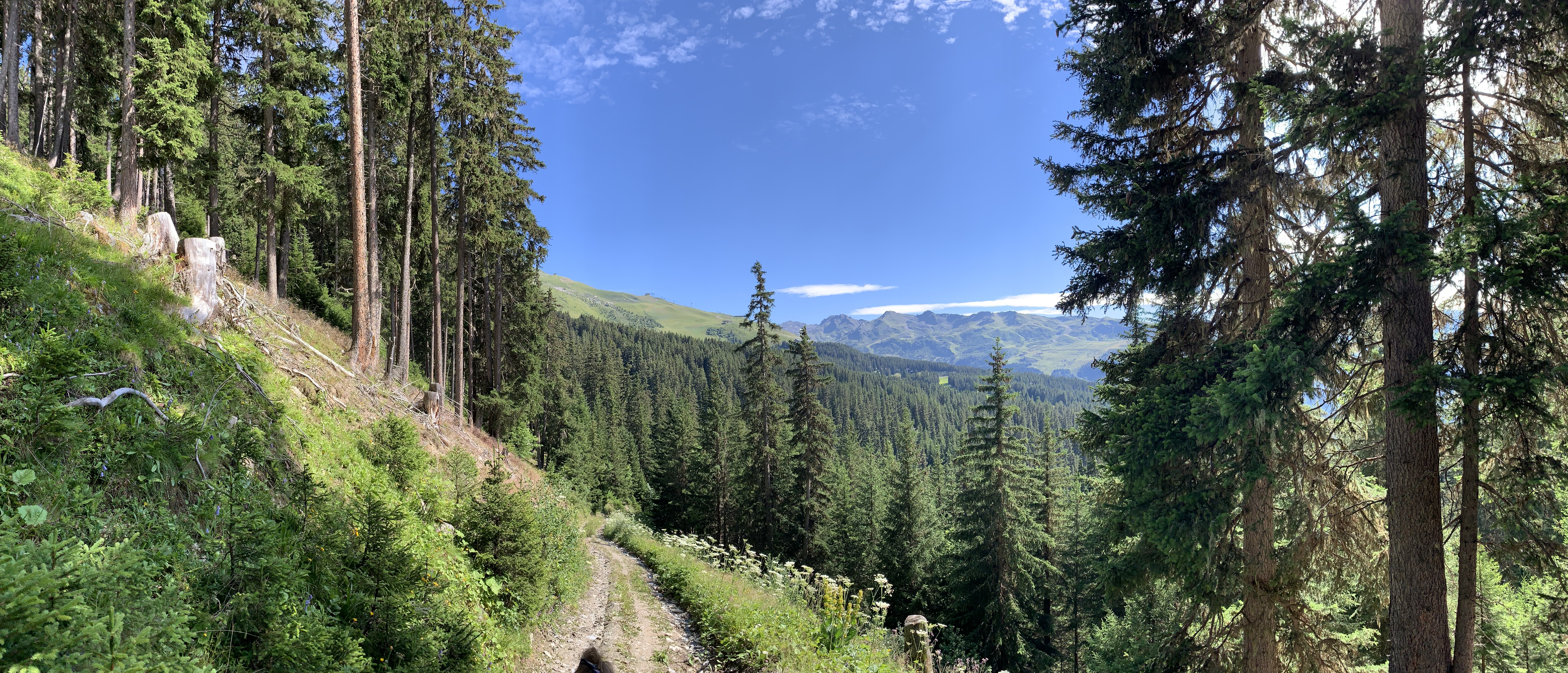 Photo n° 4 de l'avis de Wil.o fait le 15/08/2021 à 16:51