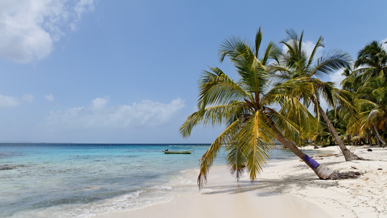 Niadub Island beach'in fotoğrafı geniş bir kıyı şeridi ile birlikte