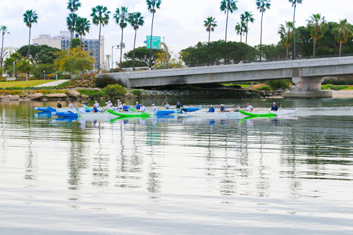 Surf Shop «West Coast Paddle Sports», reviews and photos, 4360 Morena Blvd #130, San Diego, CA 92117, USA