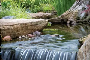 Anything Wet - Ponds & Water Features image