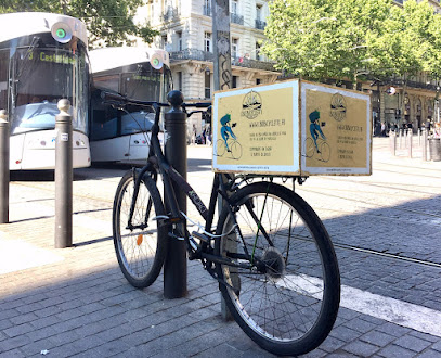 CBD Bicyclette - CBD Marseille - Livraison express de fleurs de CBD