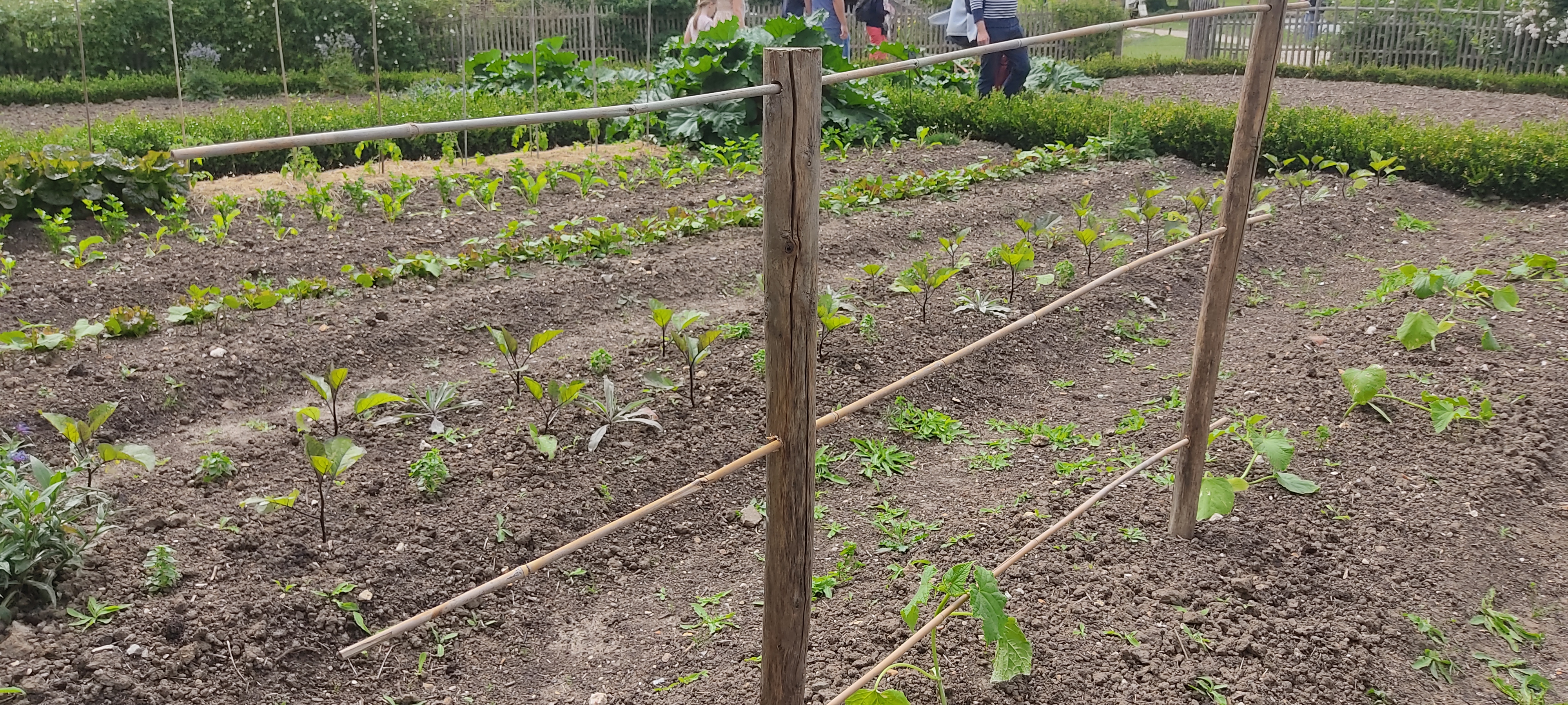 Photo n° 17 de l'avis de Thomas.O fait le 26/05/2022 à 14:48