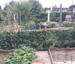 Gartenbauverein Döppelhahn photo