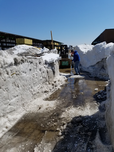 Home Improvement Store «Menards», reviews and photos, 2200 Westridge Rd, New Ulm, MN 56073, USA