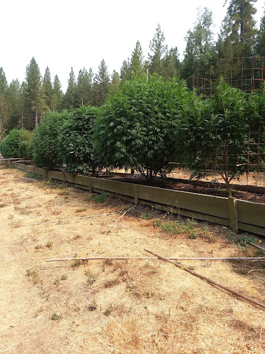 Paint Store «Sherwin-Williams Paint Store», reviews and photos, 1530 N Pacific Hwy #170, Woodburn, OR 97071, USA