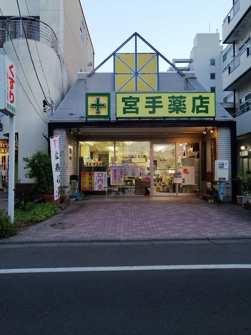宮手薬店