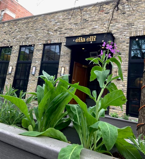 Florist «Thats Amore Florist Ltd», reviews and photos, 3454 N Southport Ave, Chicago, IL 60657, USA