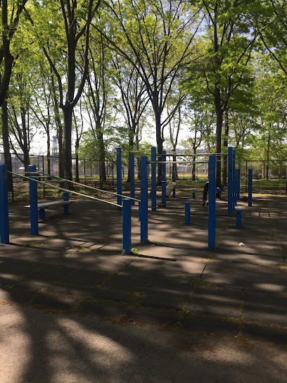 East River Outdoor Gym - E River Greenway, New York, NY 10009