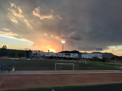 POLIDEPORTIVO MUNICIPAL DE PEDREGUER