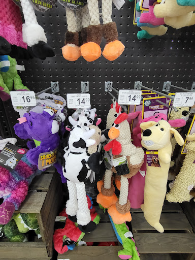 Pet Supply Store «Petco Animal Supplies», reviews and photos, 160 S Mannheim Rd #100, Hillside, IL 60162, USA