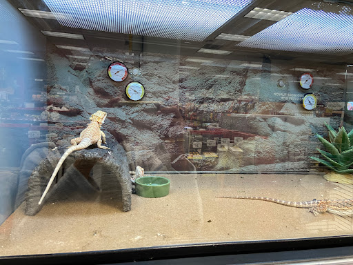 Pet Supply Store «Petco Animal Supplies», reviews and photos, 1150 El Camino Real #167, San Bruno, CA 94066, USA