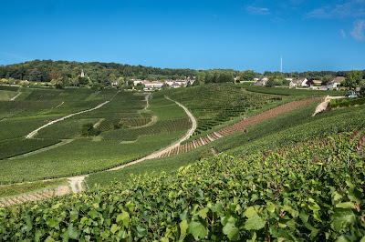 France Bubbles Tours à Reims