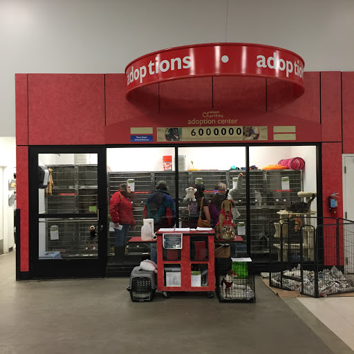 PetSmart, 475 Bank St, Waterbury, CT 06708, USA, 