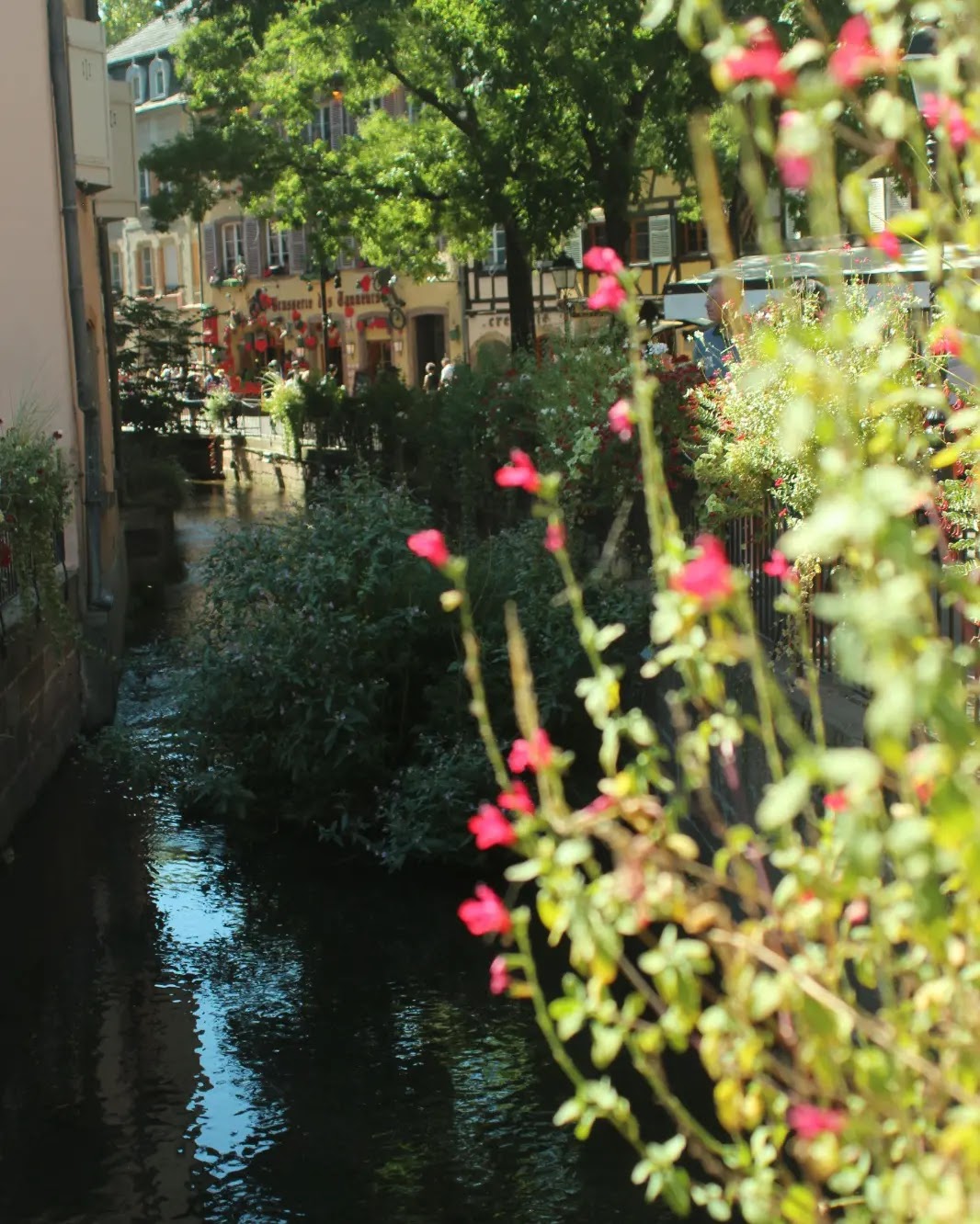 Photo n° 2 de l'avis de Edicions.e fait le 18/08/2022 à 19:38