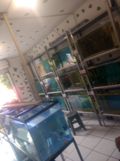 Acuario Aquazoo