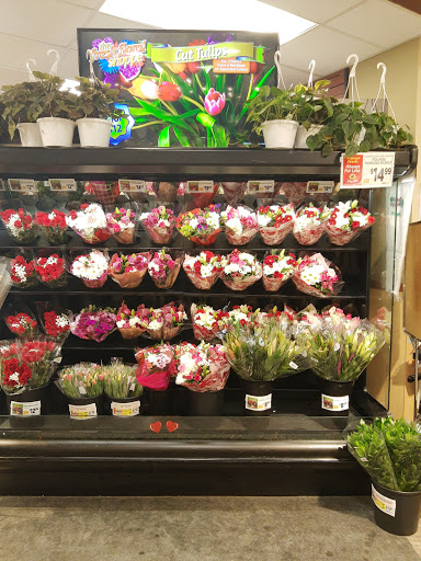 Shopping Mall «Brandywine Commons II», reviews and photos, 1300 Rocky Run Pkwy, Wilmington, DE 19803, USA