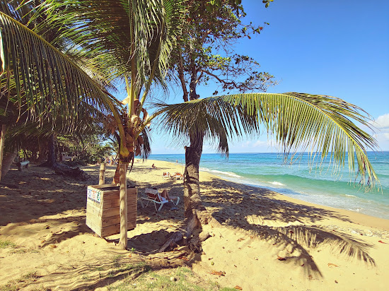 Playa perla marina