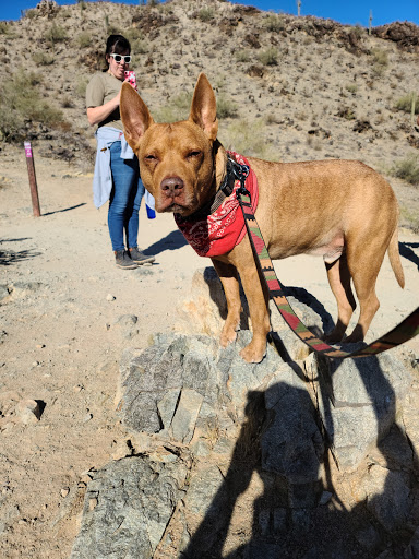 Pet Store «Pet Planet», reviews and photos, 5150 S Rural Rd #106, Tempe, AZ 85282, USA