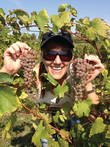 Winery «Coyote Moon Vineyards», reviews and photos, 17371 County Rd 3, Clayton, NY 13624, USA