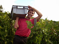 Vin de Savoie - Florent Héritier - vin biodynamie Savoie Frangy