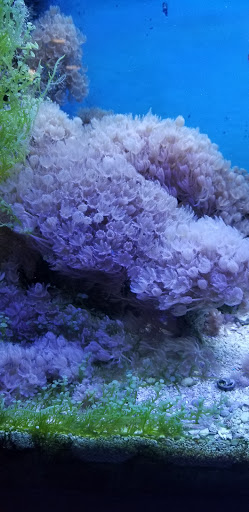 Pet Store «Fish 4 U», reviews and photos, 4010 Highland Dr #1, Millcreek, UT 84124, USA