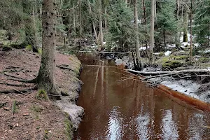 Tussinkoski image