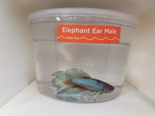 Pet Supply Store «Petco Animal Supplies», reviews and photos, 240 Upland Square Dr, Stowe, PA 19464, USA