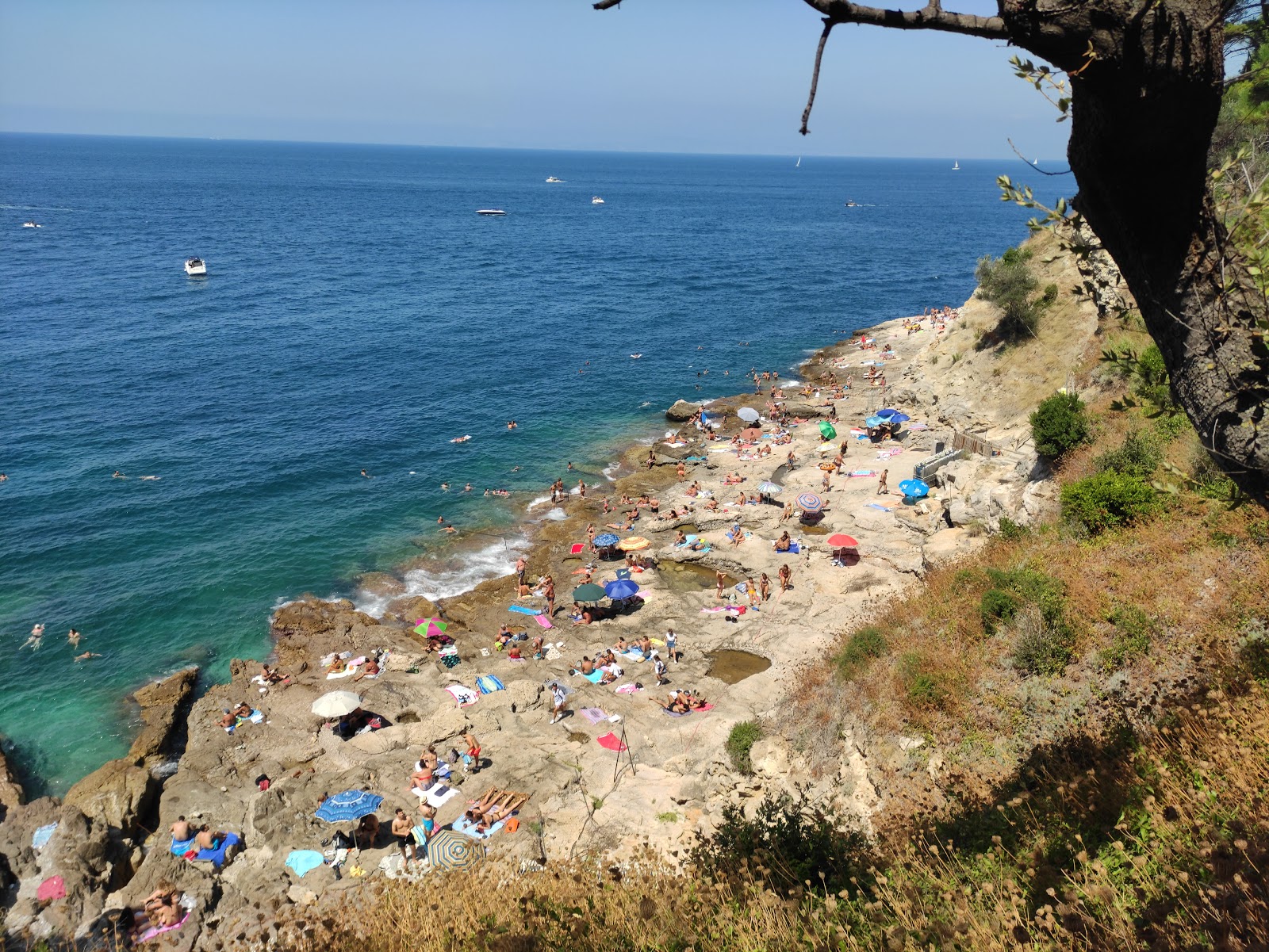 Spiaggia della Pignatella的照片 带有岩石覆盖表面