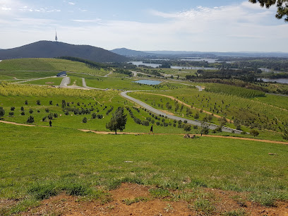Dairy Farmers Hill Lookout