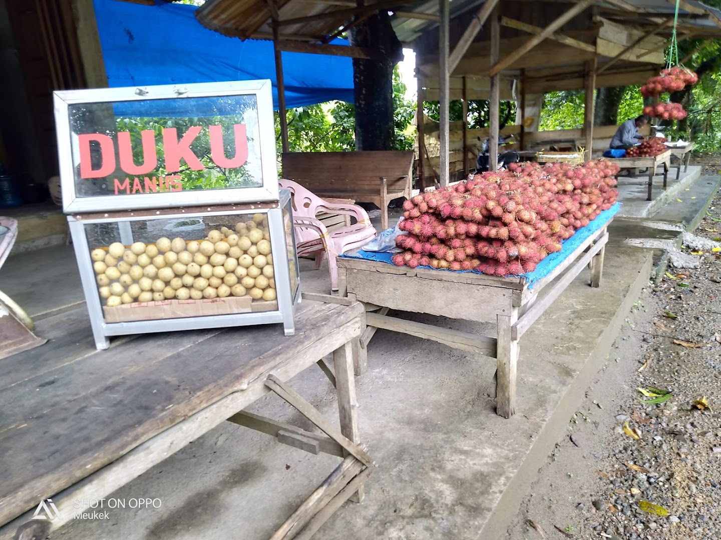 Kedai Durian, Langsat Dan Rambutan Photo