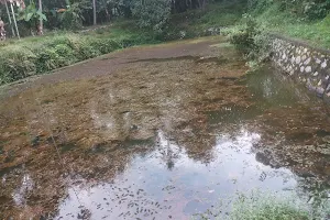 Valikonam Temple Pond image